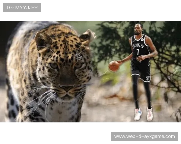 休斯连续命中关键外线,布鲁克林打出亮点